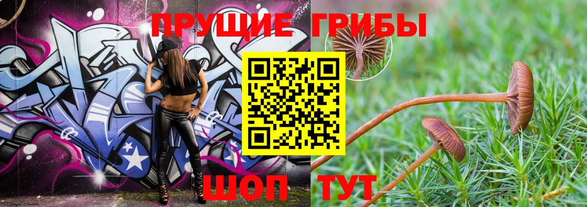 Галлюциногенные грибы MAGIC MUSHROOMS Биробиджан